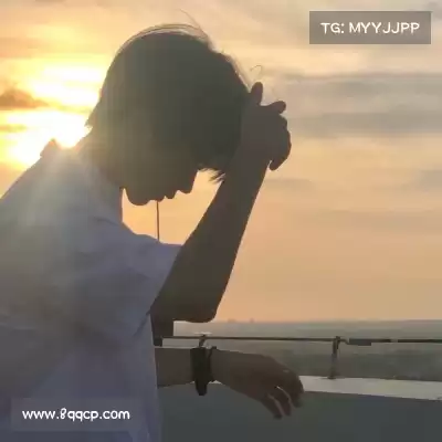 水会莎